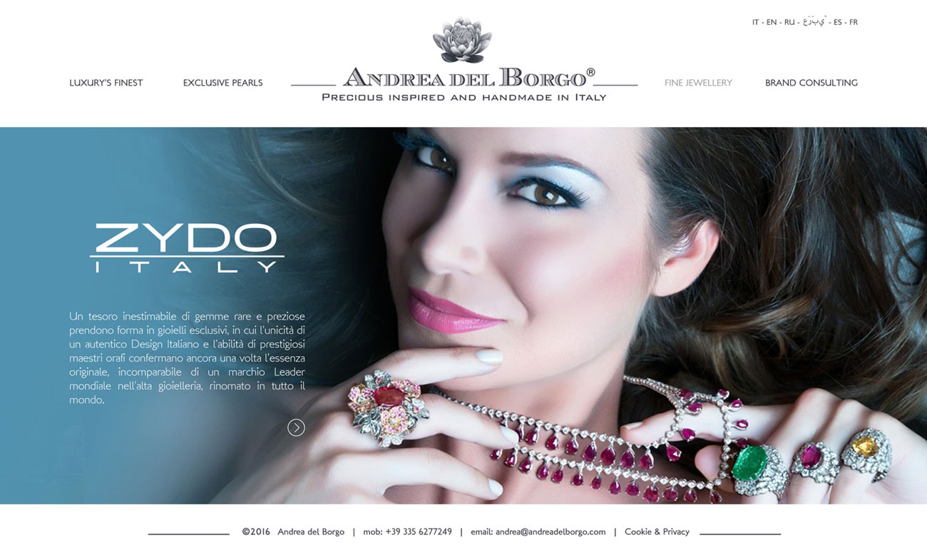 Andrea Del Borgo sito web — 5
