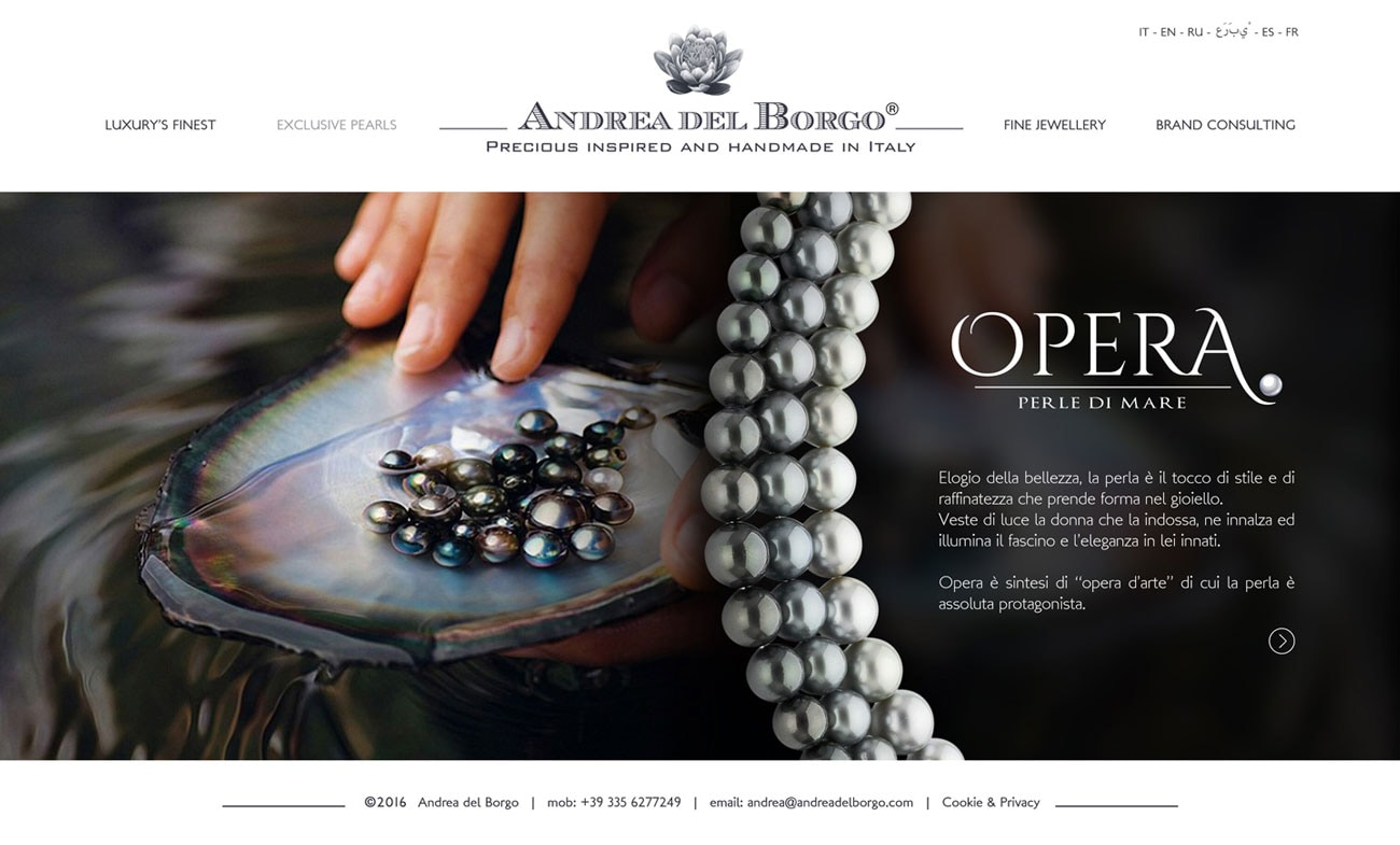 Andrea Del Borgo sito web — 4