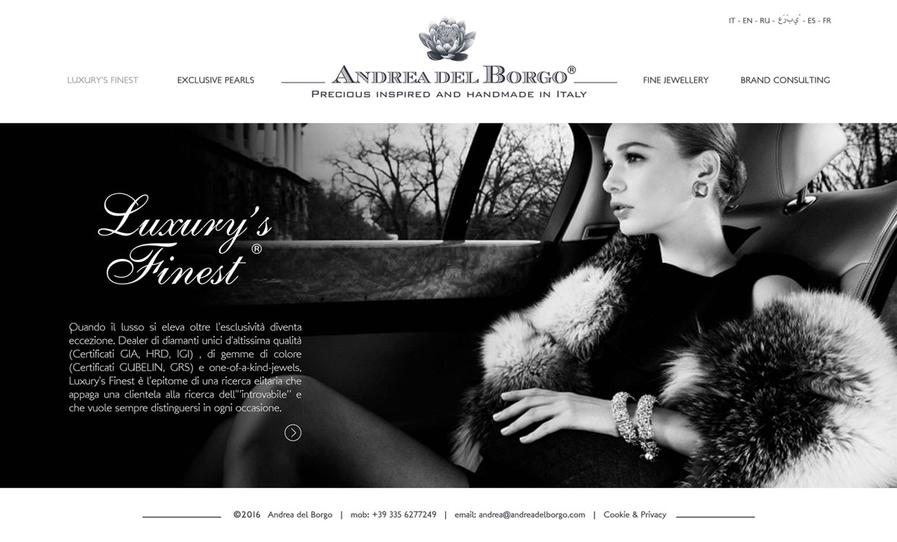 Andrea Del Borgo sito web — 3