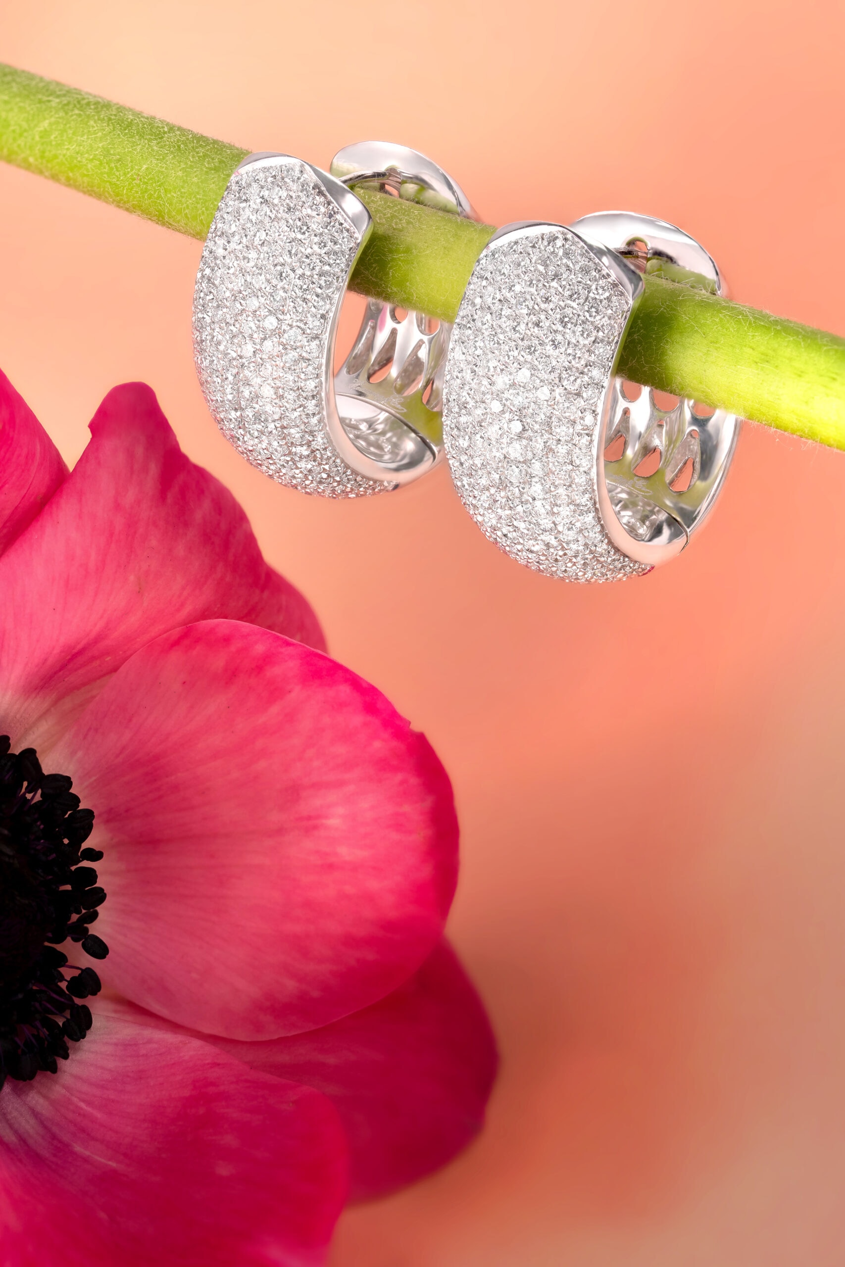 Diamonds&Co spring shooting gioielli — 6
