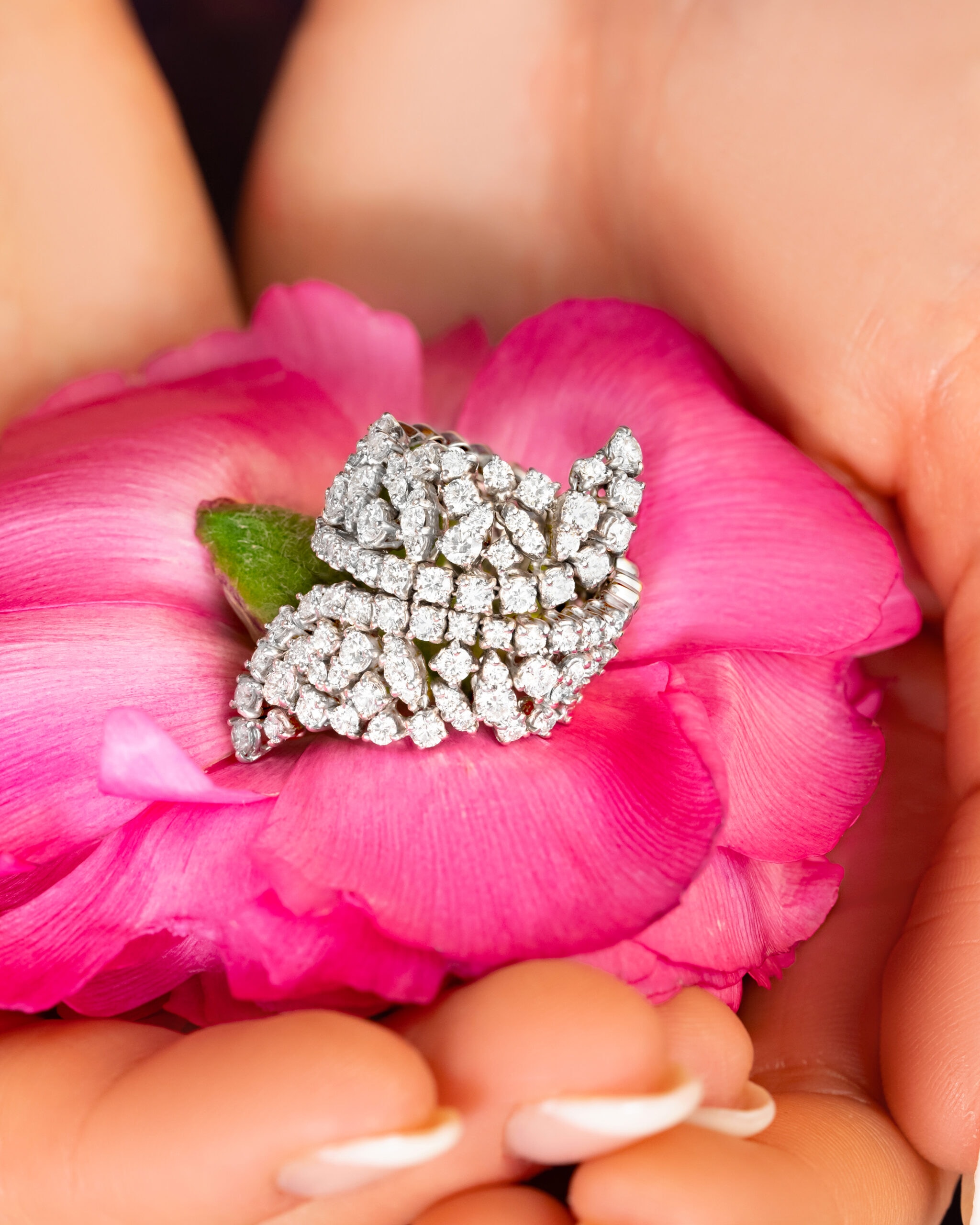 Diamonds&Co spring shooting gioielli — 7