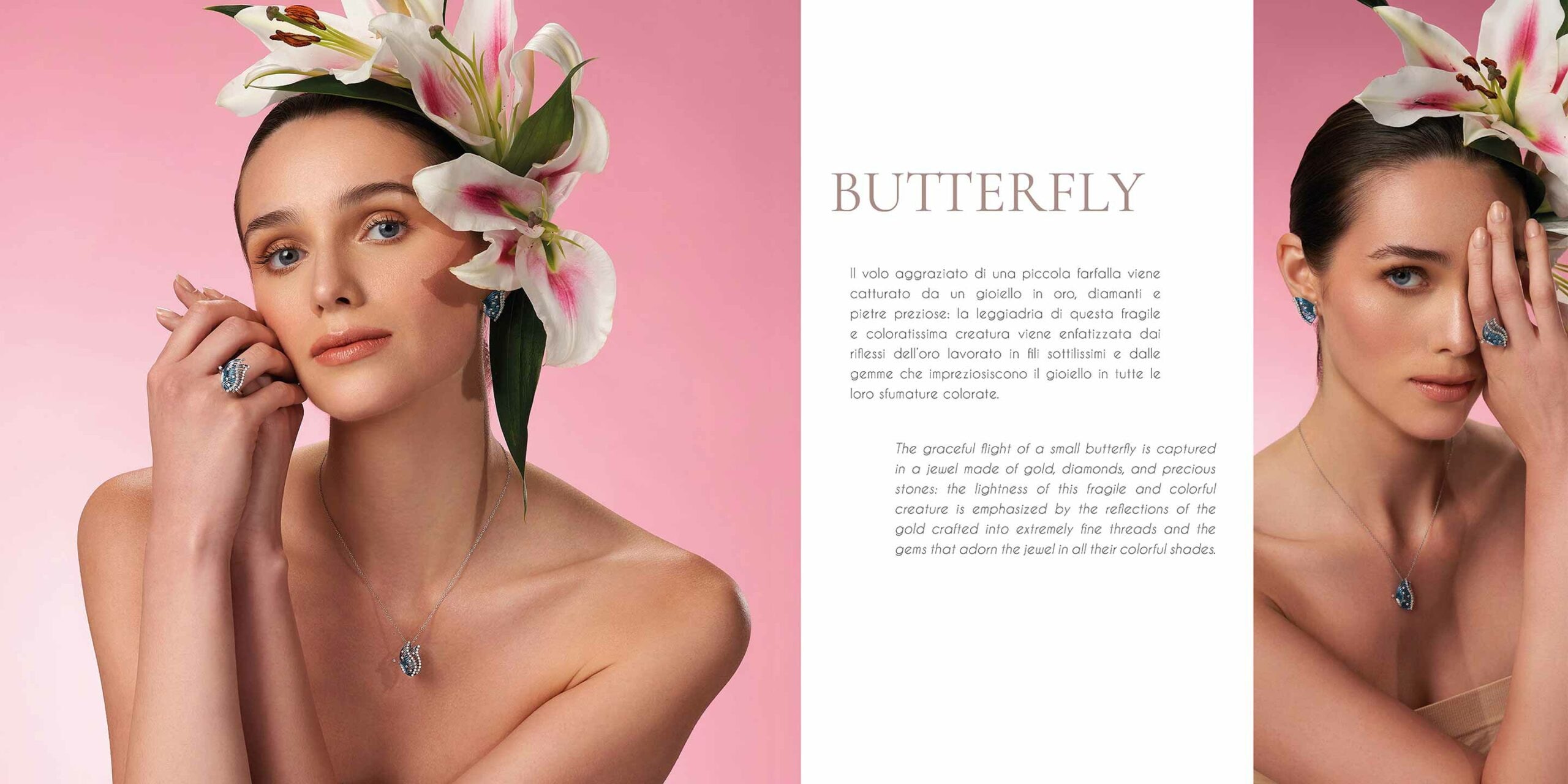 Giloro brochure — 2