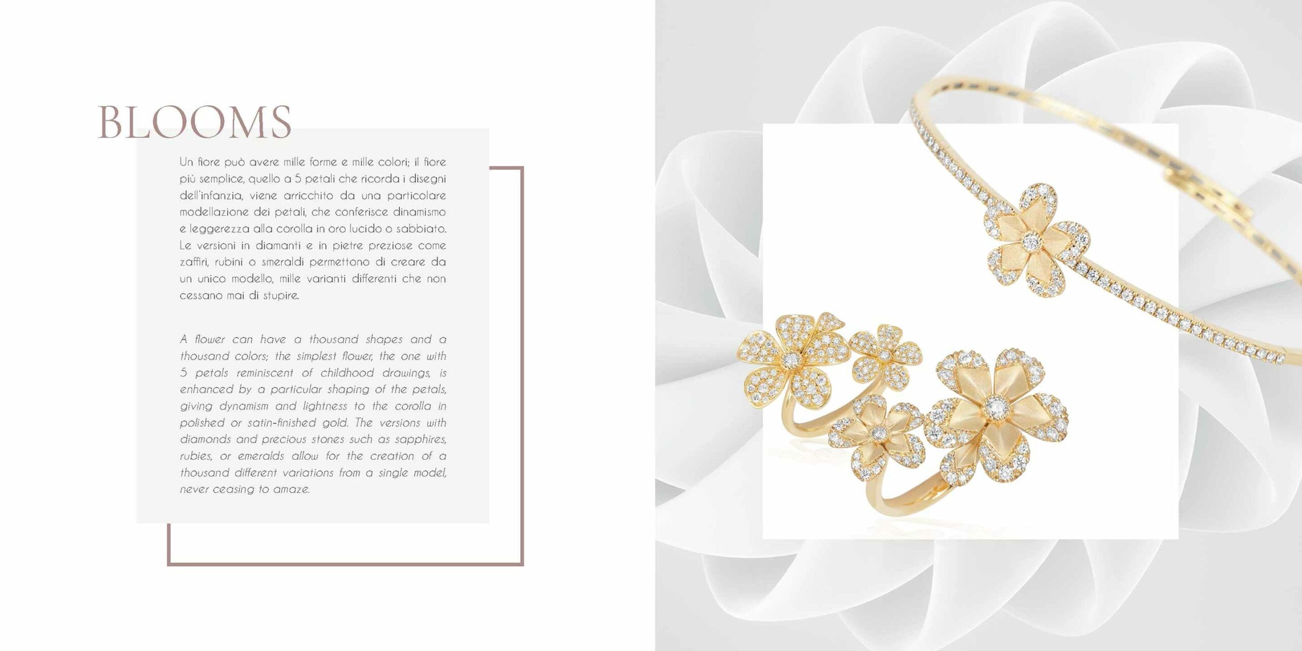 Giloro brochure — 3