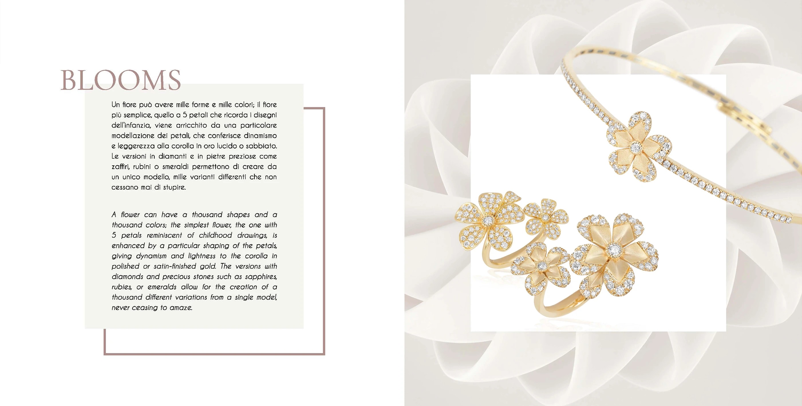 Giloro — brochure, immagine 2