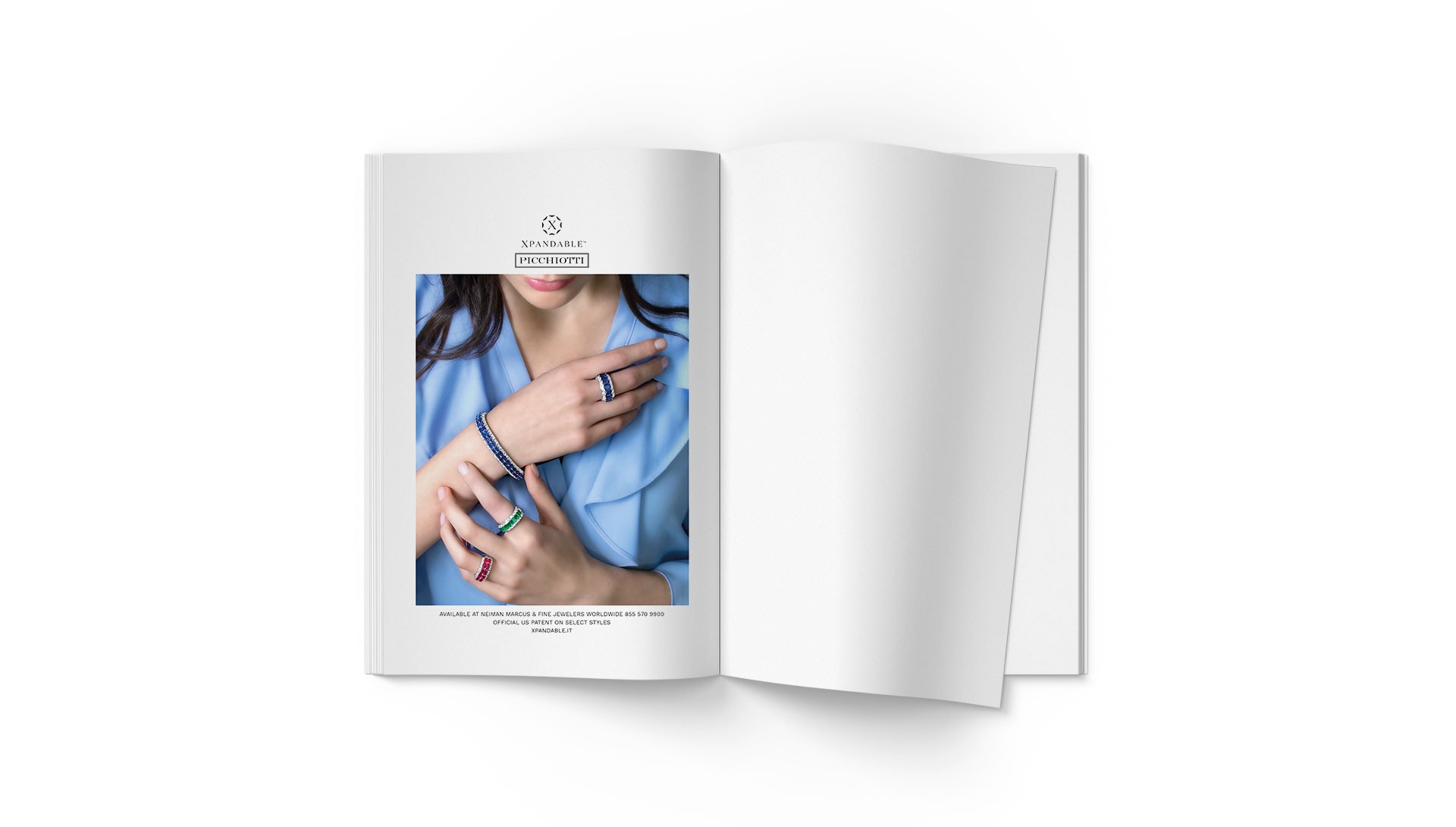 Picchiotti campagna ADV USA — 1