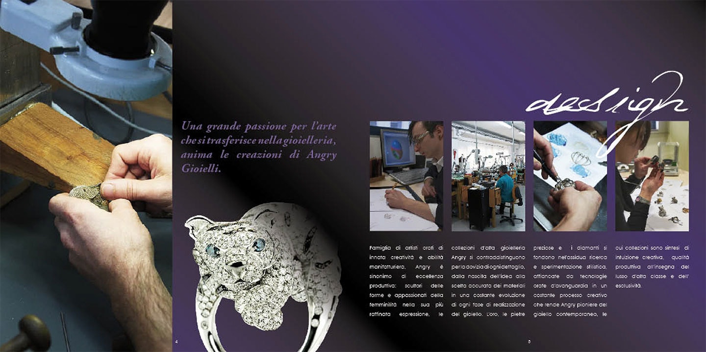 Angry brochure — 4