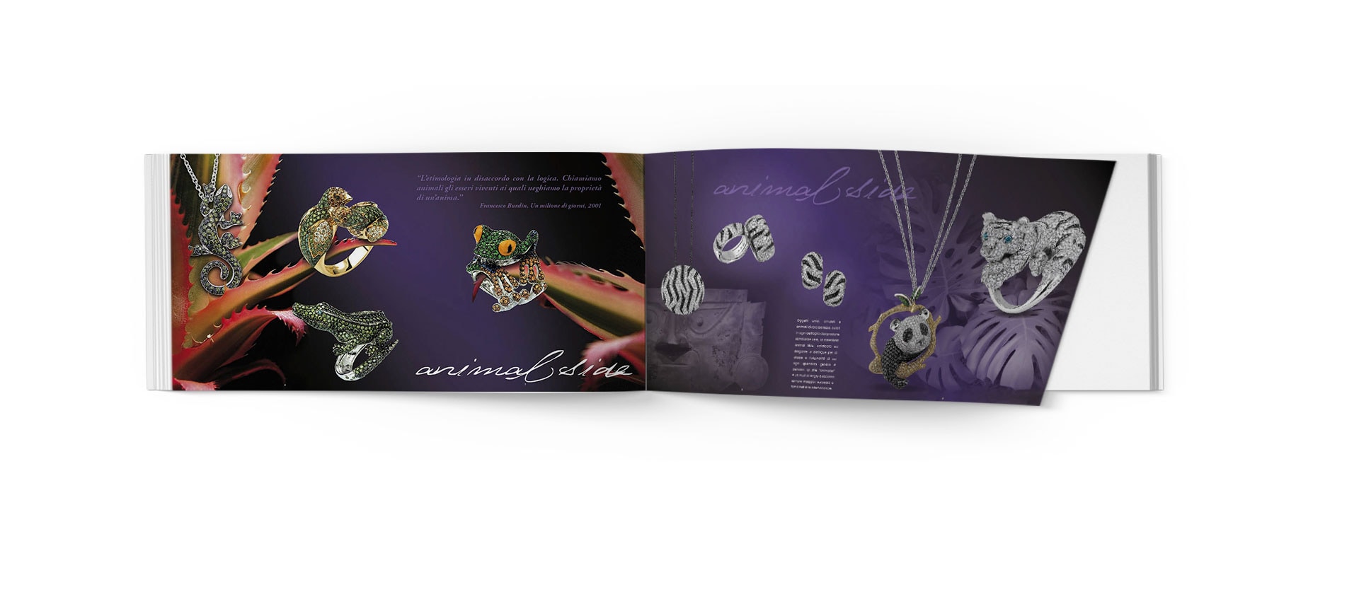 Angry brochure — 1