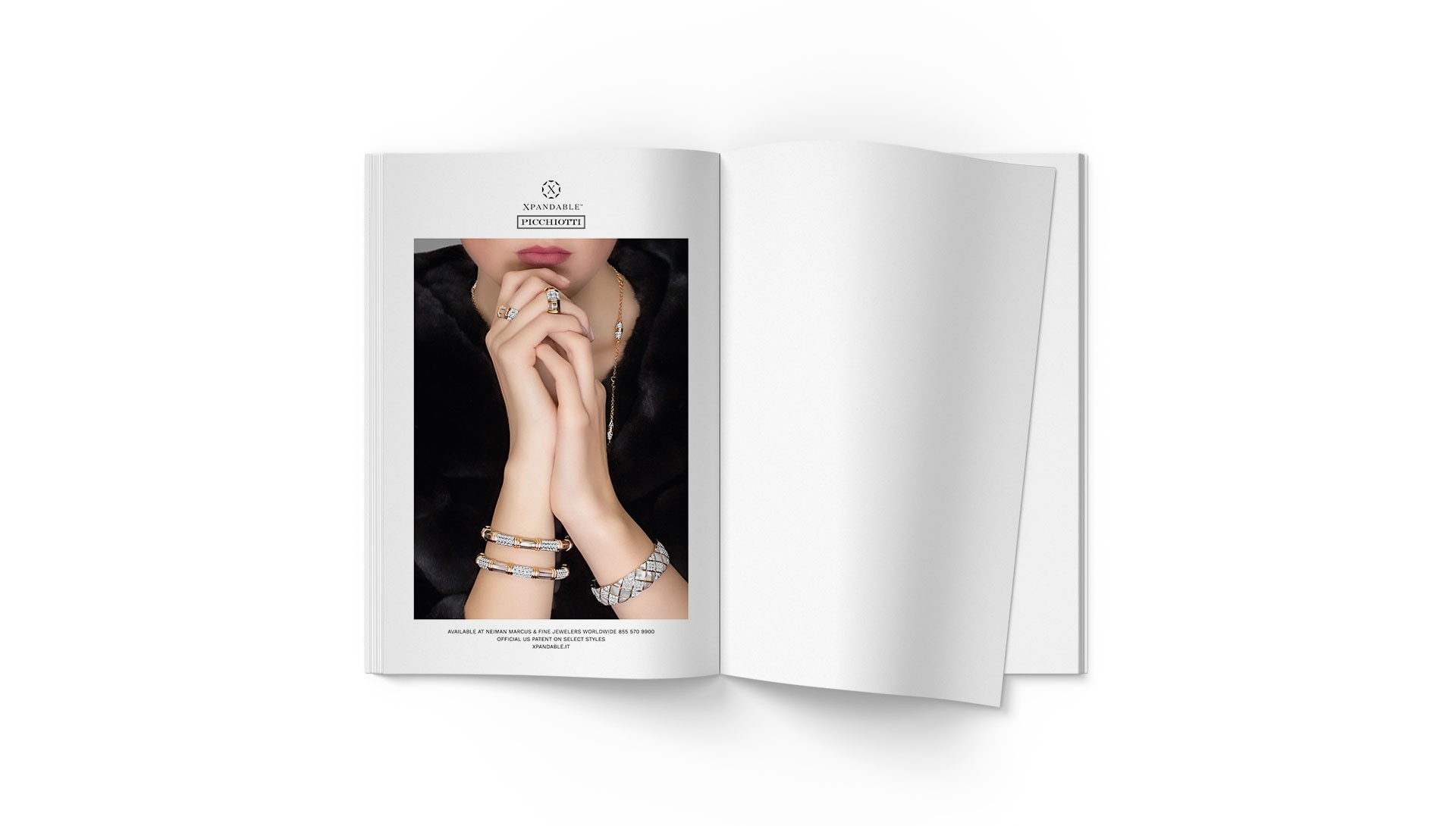 Picchiotti campagna ADV USA — 1