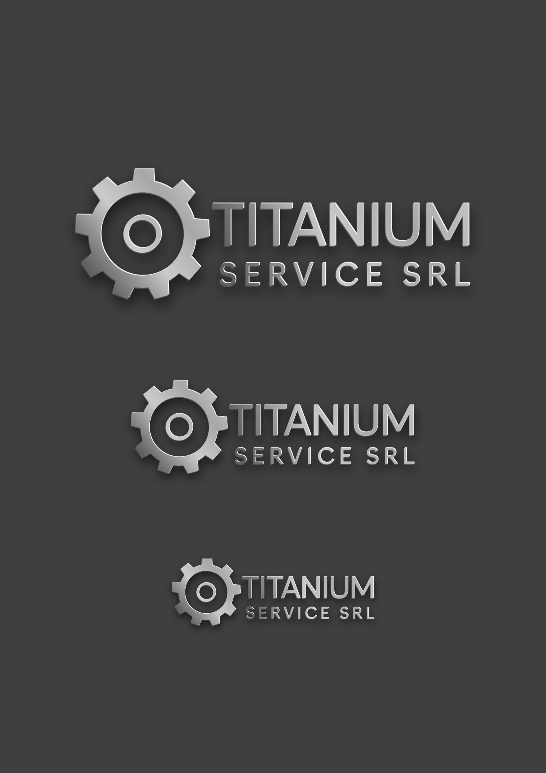 Titanium Service logotipo — 1